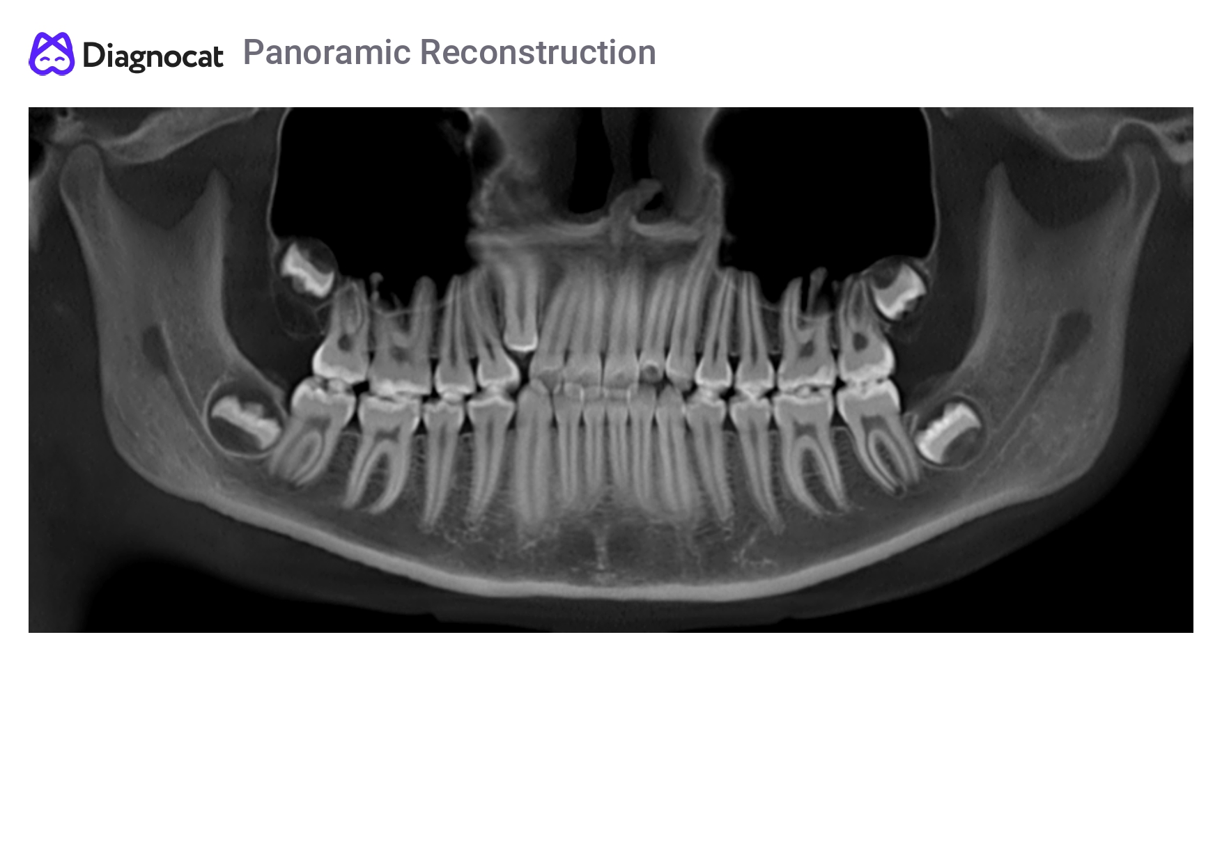 ortho report eng1