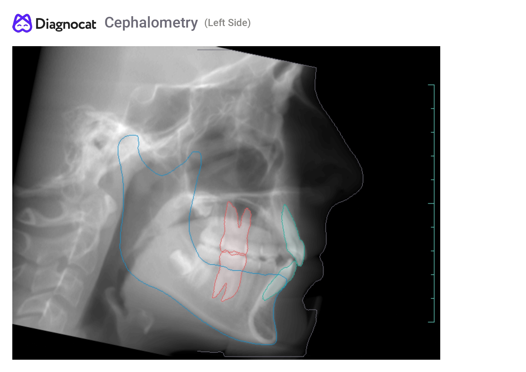ortho report eng3