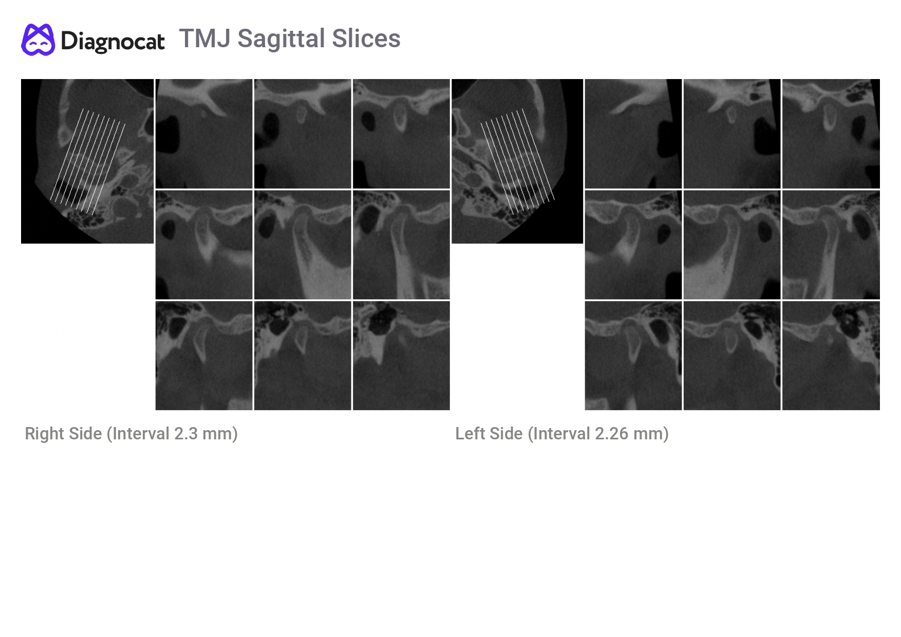 ortho report eng8